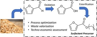 Graphical abstract: Sustainable and efficient production of furoic acid from furfural through amine assisted oxidation with hydrogen peroxide and its implementation for the synthesis of alkyl furoate