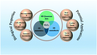 Graphical abstract: Molybdenum disulfide (MoS2)-based nanostructures for tissue engineering applications: prospects and challenges