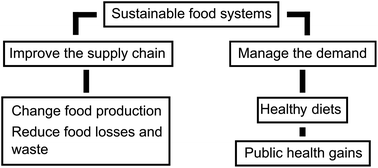 Graphical abstract: Healthy diets for sustainable food systems: a narrative review