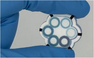 Graphical abstract: All-electrical antibiotic susceptibility and resistance profiling of electrogenic Pseudomonas aeruginosa