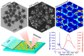 Graphical abstract: Self-assembled PVP-gold nanostar films as plasmonic substrates for surface-enhanced spectroscopies: influence of the polymeric coating on the enhancement efficiency