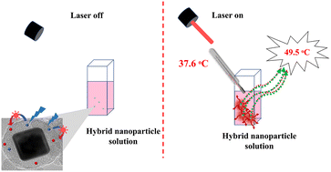 Graphical abstract: A plasmonic fluorescent ratiometric temperature sensor for self-limiting hyperthermic applications utilizing FRET enhancement in the plasmonic field