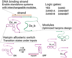 Graphical abstract: Towards the development of a DNA automaton: modular RNA-cleaving deoxyribozyme logic gates regulated by miRNAs