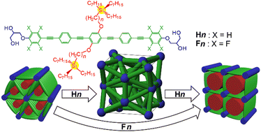 Graphical abstract: Highly branched bolapolyphilic liquid crystals with a cubic A15 network at the triangle-square transition