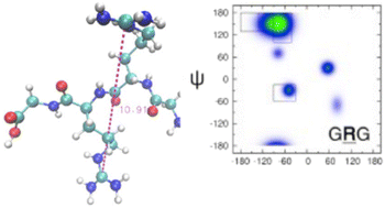 Graphical abstract: The relevance of short peptides for an understanding of unfolded and intrinsically disordered proteins