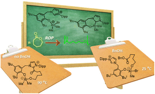 Graphical abstract: Flexible NHC-aryloxido aluminum complex and its zwitterionic imidazolium aluminate precursor in ring-opening polymerization of ε-caprolactone