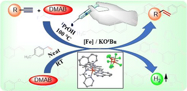 Graphical abstract: Transfer semi-hydrogenation of terminal alkynes with a well-defined iron complex