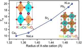 Graphical abstract: The impact of A-site cations on the crystal structure and magnetism of the new double perovskites ALaCoTeO6 (A = Na and K)