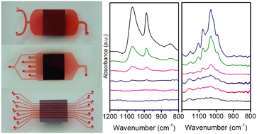 Graphical abstract: SpectIR-fluidics: completely customizable microfluidic cartridges for high sensitivity on-chip infrared spectroscopy with point-of-application studies on bacterial biofilms