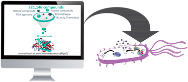 Graphical abstract: In silico identification of novel PqsD inhibitors: promising molecules for quorum sensing interference in Pseudomonas aeruginosa