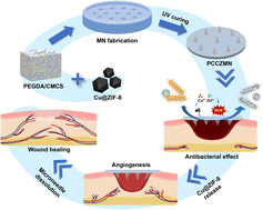 Graphical abstract: A Cu@ZIF-8 encapsulated antibacterial and angiogenic microneedle array for promoting wound healing