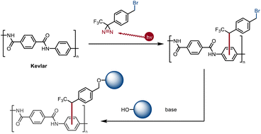 Graphical abstract: Bifunctional diazirine reagent for covalent dyeing of Kevlar and inert polymer materials