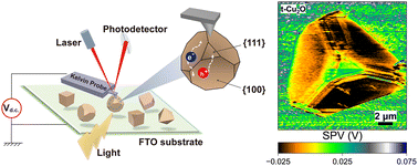 Graphical abstract: Spatial separation of photogenerated charges on the anisotropic facets of cuprous oxide