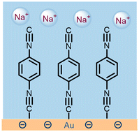 Graphical abstract: Understanding the effect of specific adsorption on the vibrational Stark effect of adsorbates on an electrode surface via surface enhanced spectroscopy