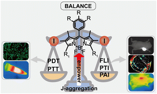 Graphical abstract: Rational design of amphiphilic BODIPY-based photosensitizers for multimodal imaging-guided phototherapy