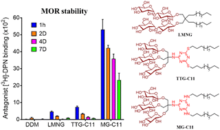 Graphical abstract: Melamine-cored glucosides for membrane protein solubilization and stabilization: importance of water-mediated intermolecular hydrogen bonding in detergent performance