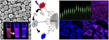 Graphical abstract: Photosensitizer-singlet oxygen sensor conjugated silica nanoparticles for photodynamic therapy and bioimaging