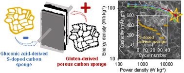 Graphical abstract: Biomass-derived carbon sponges for use as sodium-ion capacitor electrodes