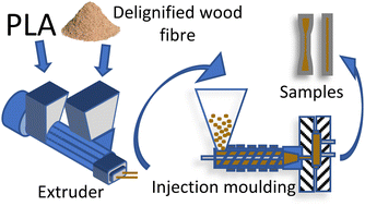 Graphical abstract: The effect of size and delignification on the mechanical properties of polylactic acid (PLA) biocomposites reinforced with wood fibres via extrusion