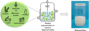 Graphical abstract: Recent advances in radical polymerization of bio-based monomers in aqueous dispersed media