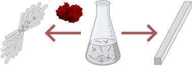 Graphical abstract: Protein-induced modifications in crystal morphology of a hydrogen-bonded organic framework