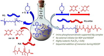 Graphical abstract: Crafting tailored, well-defined block copolymers of cyclic esters with an organomagnesium initiator
