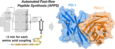 Graphical abstract: Automated fast-flow synthesis of the immune checkpoint receptors PD-1 and PD-L1