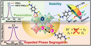 Graphical abstract: Dual-locking strategy with a charge-delocalizing ligand for stable perovskites