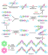 Graphical abstract: Construction of a dual-color fluorescent light-up biosensor based on sequential coding for label-free and sensitive detection of multiple Piwi-interacting RNAs