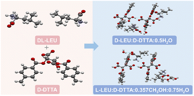 Graphical abstract: Chiral resolution of dl-leucine via salifying tartaric acid derivatives