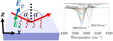 Graphical abstract: Polarization-dependent effects in vibrational absorption spectra of 2D finite-size adsorbate islands on dielectric substrates