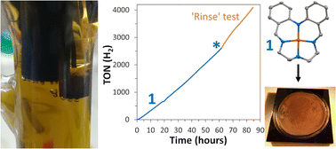 Graphical abstract: Copper-based electrocatalyst for hydrogen evolution in water