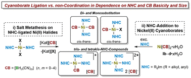 Graphical abstract: NHC-ligated nickel(ii) cyanoborate complexes and salts