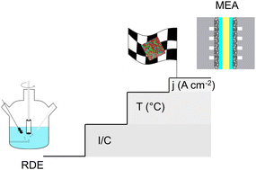 Graphical abstract: Unveiling the origins of the activity gap between rotating disk electrodes and membrane electrode assemblies: Pt seed-mediated iridium-doped octahedral platinum nickel catalysts for proton exchange membrane fuel cells
