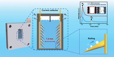 Graphical abstract: Unidirectional bubble transportation on slippery micro-cone array electrodes enables spontaneous 99.99% gas separation in membrane-less water electrolysis