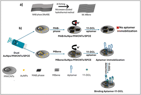 Graphical abstract: Electrochemical aptasensing platform based on nanolaminated MAB/MBene phases for the efficient detection of 11-deoxycortisol