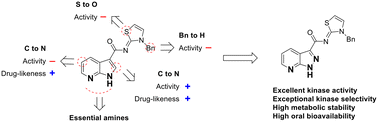 Graphical abstract: Discovery of selective LATS inhibitors via scaffold hopping: enhancing drug-likeness and kinase selectivity for potential applications in regenerative medicine