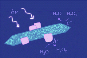 Graphical abstract: Light driven water oxidation on silica supported NiO–TiO2 heteronanocrystals yields hydrogen peroxide