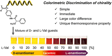 Graphical abstract: A facile method for colorimetric determination of the enantiomeric purity of amino acids using poly(phenylacetylene) possessing (S)-mandelamide receptors