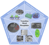 Graphical abstract: A review of metal phosphides with catalytic effects in Li–S batteries: boosting the redox kinetics