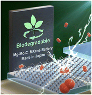 Graphical abstract: Material design of biodegradable primary batteries: boosting operating voltage by substituting the hydrogen evolution reaction at the cathode
