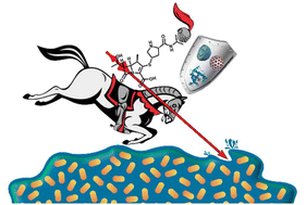 Graphical abstract: Approaches to enhance the antimicrobial activity of carbapenems within bacterial biofilms