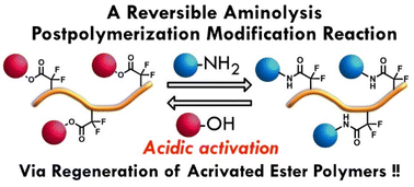 Graphical abstract: Reversible aminolysis: a new concept for postpolymerization modification