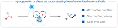 Graphical abstract: Photoredox-catalyzed hydrogenation of alkenes assisted by an in situ generated PPh3(OH) radical and acetic acid