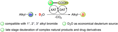 Graphical abstract: Photocatalyzed dehalogenative deuteration with silacarboxylic acids as halogen-atom transfer agents