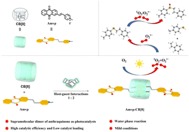 Graphical abstract: A supramolecular dimer strategy for enhancing the selective generation of sulfides and sulfoxides by visible-light induced photoredox thiol–ene cross-coupling reactions of anthraquinone