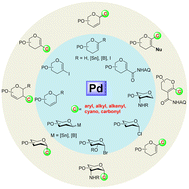 Graphical abstract: Synthesis of C-glycosides enabled by palladium-catalyzed glycosylation reactions