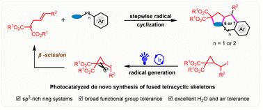 Graphical abstract: Photocatalyzed de novo synthesis of fused tetracyclic skeletons via stepwise formal [3 + 2]/[4 or 5 + 2] cycloadditions