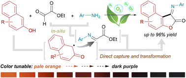 Graphical abstract: Iminonaphthofuranone synthesis via multiple-component cyclization of 2-naphthols using only molecular oxygen