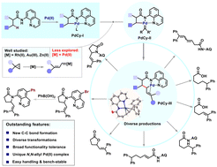 Graphical abstract: Pd(ii) auxiliary assembling and diverse transformations via inert C(sp3)–H bond activation
